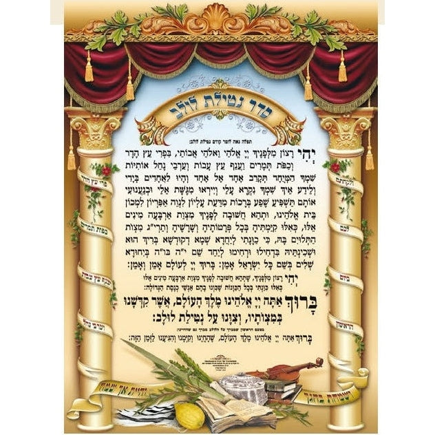 Laminated Poster 20" x 28"- Netilat Lulav