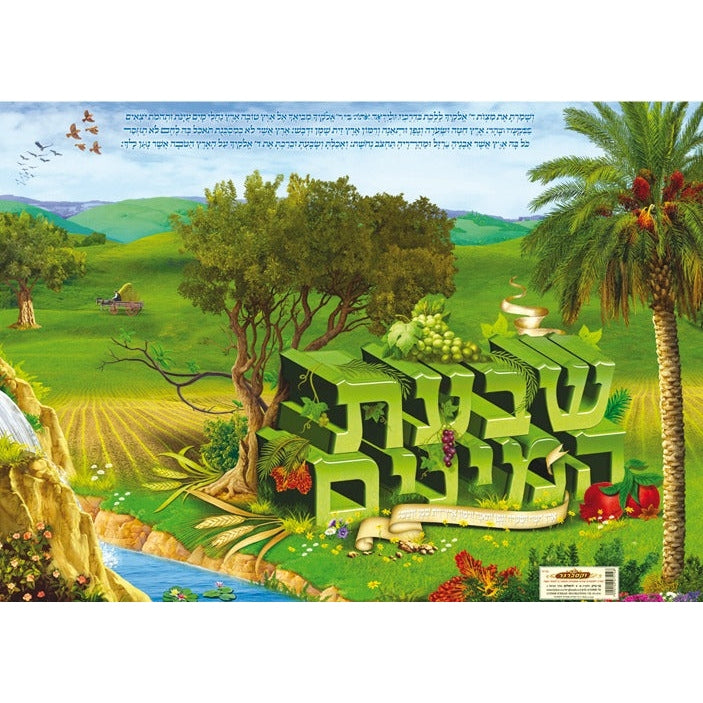 Laminated Poster 20" x 28"- Shivat Haminim