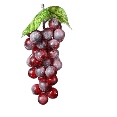 Succah grapes