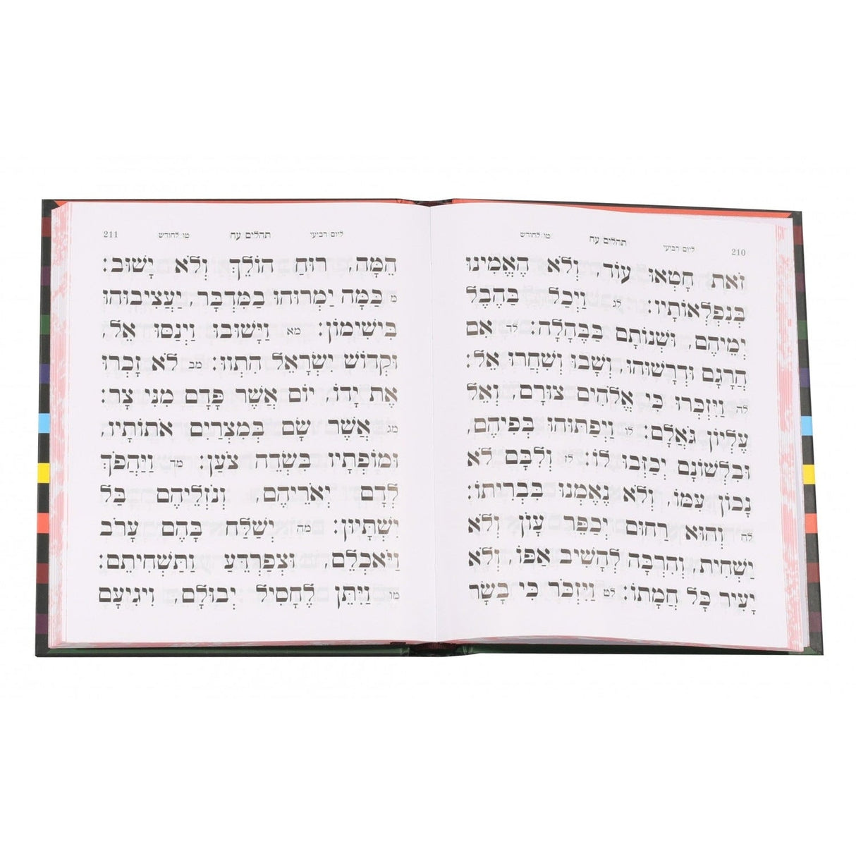 תהלים - כפתור ופרח LITTLE MARCEL